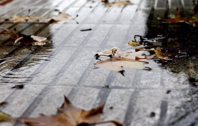 Imagen de recurso de hojas caídas por el otoño en Madrid.