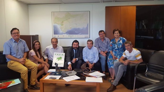 Representantes de la Federación Andaluza de Entidades Locales Municipales (FAEM) con el director general de Administración Local de la Junta de Andalucía, Joaquín López-Sidro