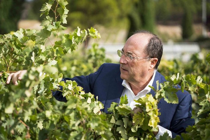 Carlos Moro, presidente de Bodegas Familiares Matarromera