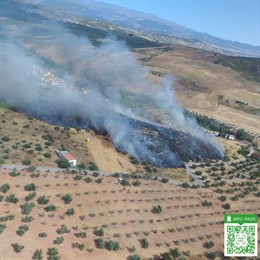 Paraje incendiado de Calicasas