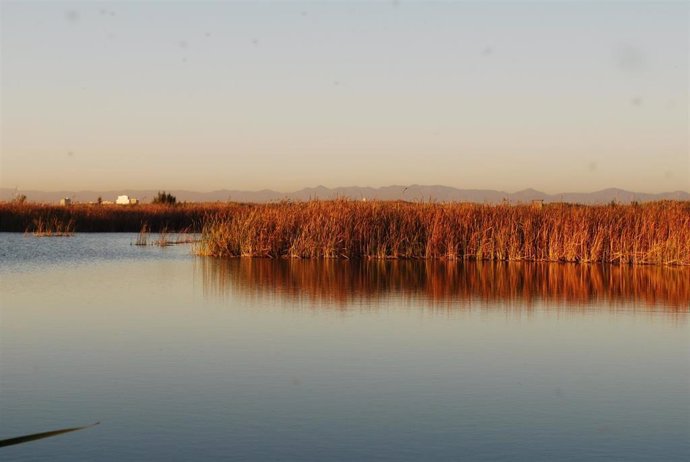 Imagen del lago de la Albufera de Valncia