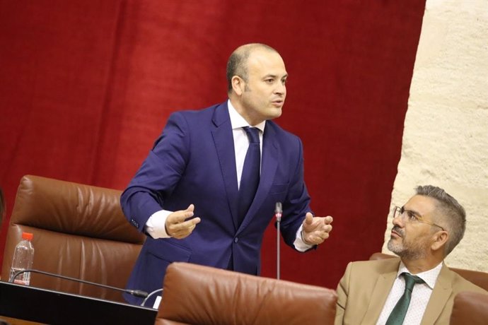 El diputado de Ciudadanos (Cs) por la provincia de Huelva en el Parlamento andaluz y vicepresidente de la cámara, Julio Díaz