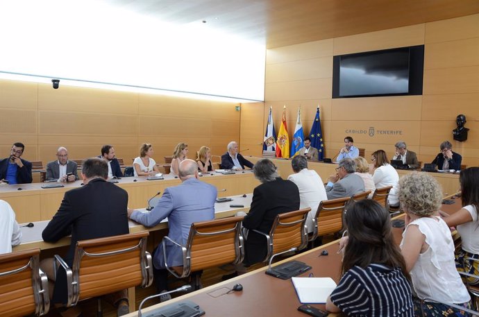 Reunión entre el Cabildo de Tenerife y agentes económicos y sociales sobre la reforma de la terminal de Tenerife Sur