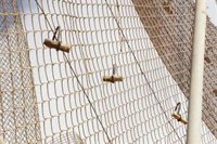 Asociación de Guardias Civiles denuncia el uso de "piedras y puñetazos" a agentes durante el salto a la valla de Melilla