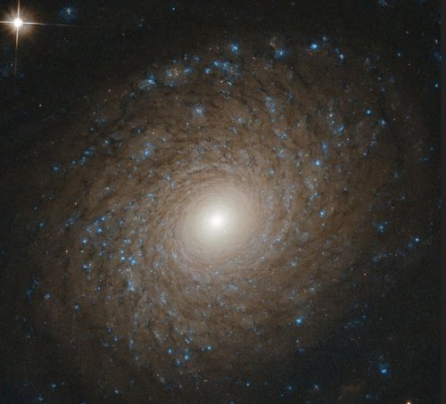 NGC 2985