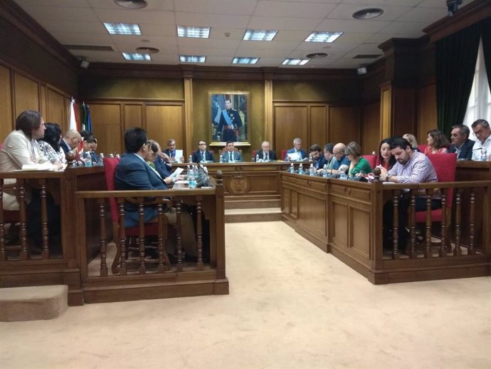 Pleno de la Diputación Provincial de Almería