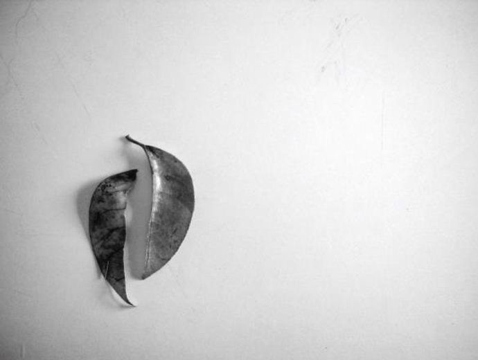 Exposición fotográfica 'La verdad y su doble'