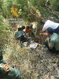 La Guardia Civil rescata en Villanueva de la Reina (Jaén) a una mujer de 65 años arrastrada por el río