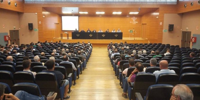 Jaén.- Cooperativas Agro-alimentarias defenderá su propuesta de autorregulación 