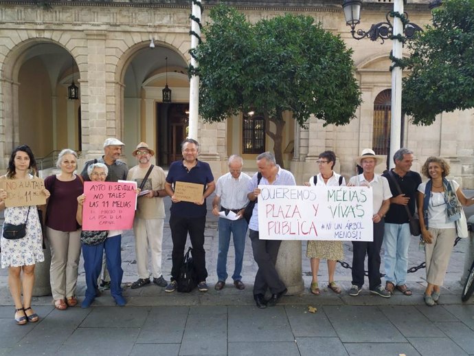 Sevilla.- Un grupo de vecinos y activistas protesta en el Ayuntamiento por la ta