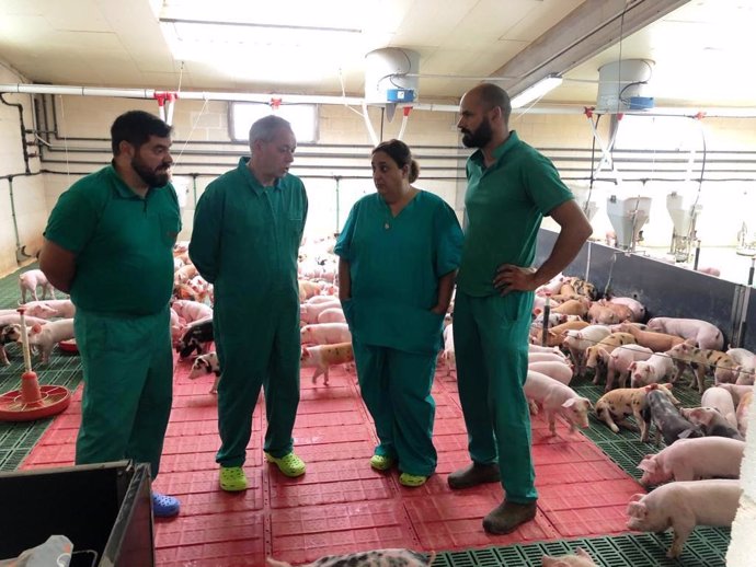 El director xeral de Gandaría visita una granja de porcino