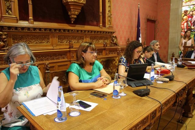 La presidenta del Consell de Mallorca, Catalina Cladera, en el primer ple de la legislatura