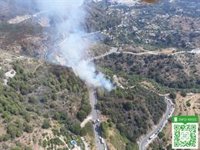 Estabilizado el incendio forestal declarado en Ojén (Málaga)