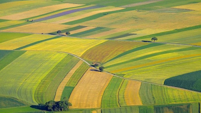 Concentración parcelaria, tierras, parcelas, agricultura