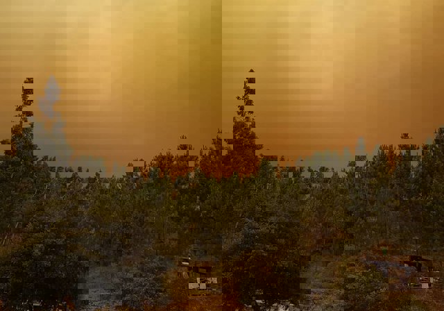 Incendio en Portugal, cerca de Gondomil