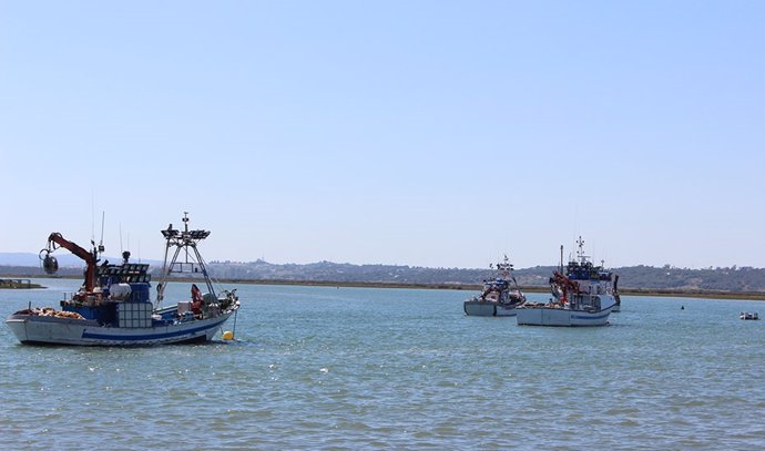 Barcos de pesca, en un imagen de archivo.