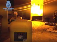 Dos detenidos en Jerez con dos cultivos 'indoor' de marihuana preparados para más de 500 plantas