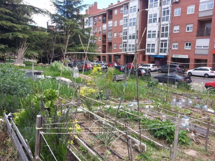 Un estudio asegura que los alimentos de los huertos urbanos en España son seguro
