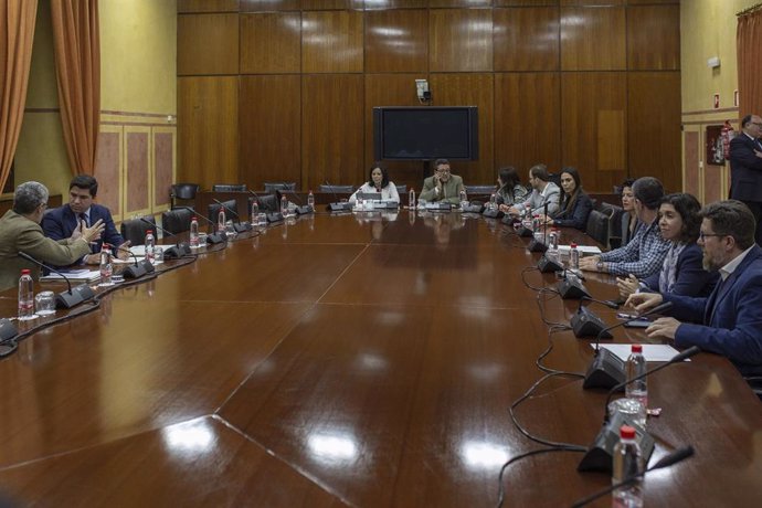  Reunión de la comisión de investigación parlamentaria sobre la extinta Fundación Faffe. Foto de archivo
