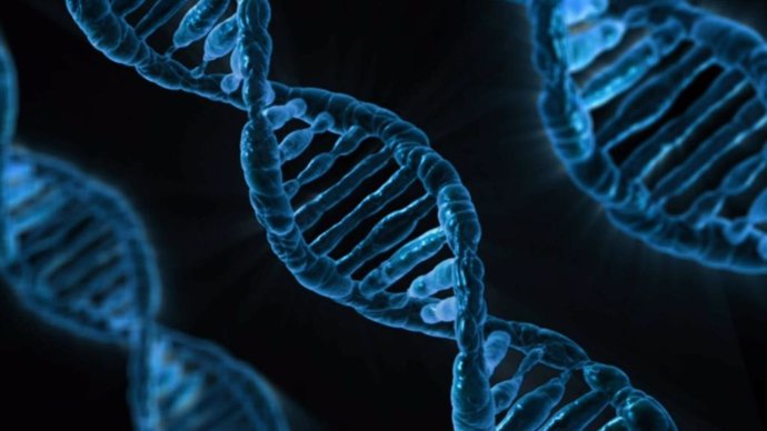 Cadena de ADN. Genética, genoma, investigación
