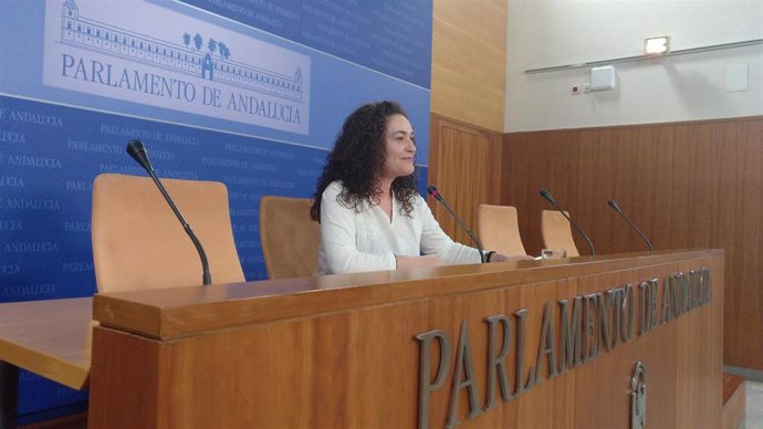 La portavoz parlamentaria de Adelante Andalucía, Inma Nieto, en rueda de prensa este martes