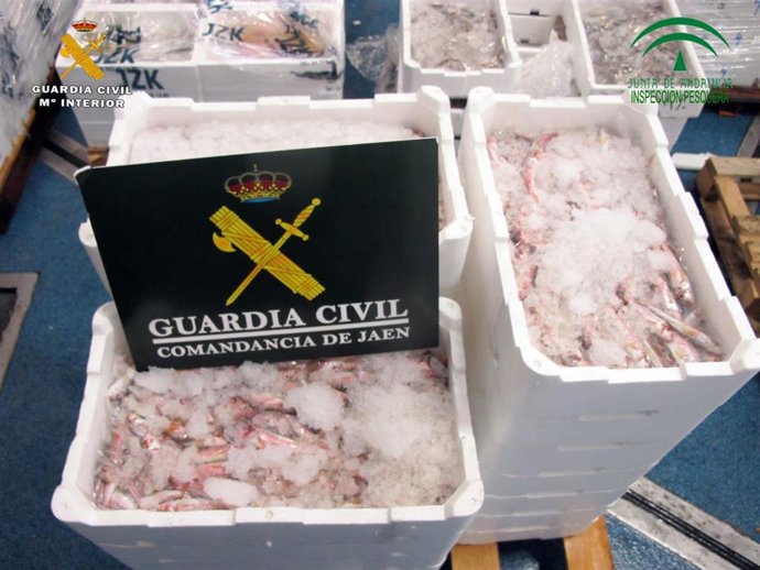 Pescado inmaduro intervenido