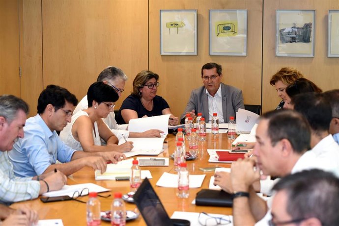 Reunión de las Estrategias DUSI