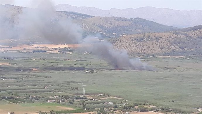 Imatge de l'incendi forestal declarat a Ses Jonqueres Veres, a Sa Pobla.