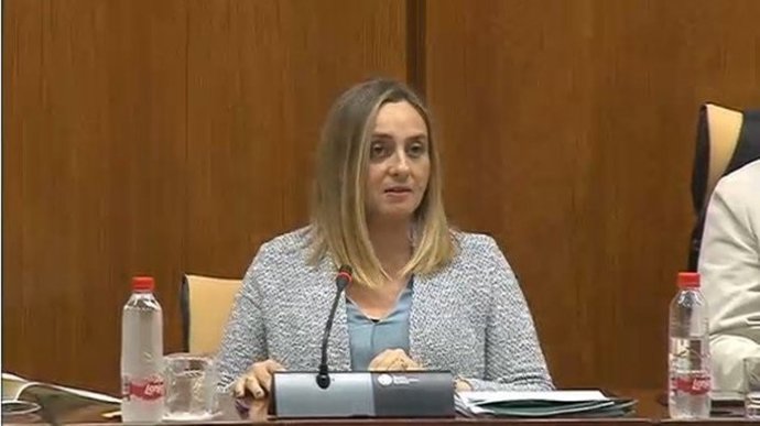 La consejera de Fomento, Infraestructuras y Ordenación del Territorio, Marifrán Carazo.