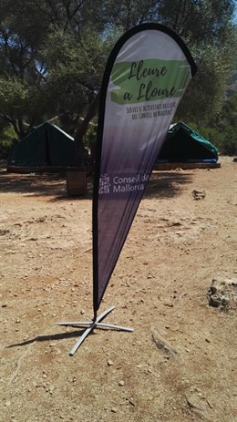 Campamento de verano 'La Victria' en Alcúdia