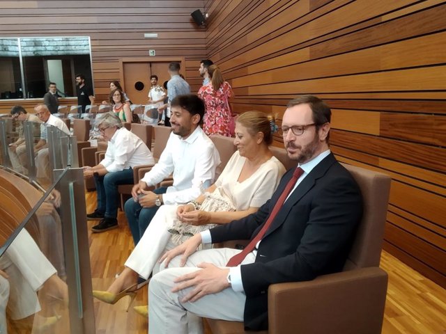Los tres senadores autonómicos, Francisco Díaz y Teresa López (PSOE) y Javier Maroto (PP), siguen la votación desde la tribuna de invitados de las Cortes.
