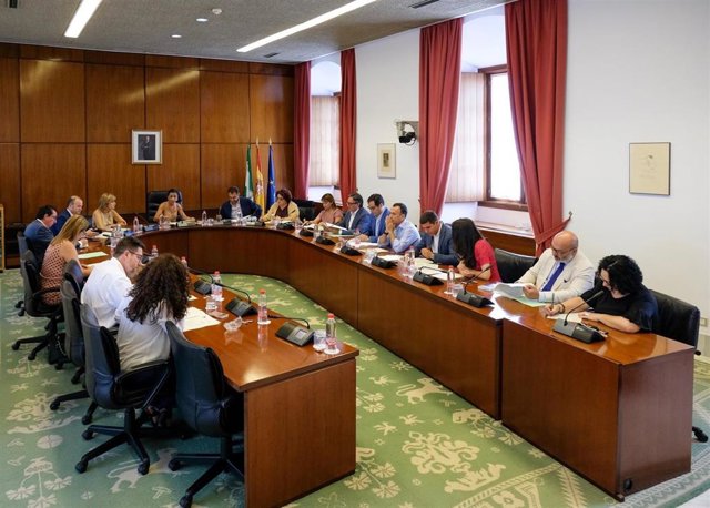 El Presupuesto andaluz para el 2019 afronta la próxima semana su debate final ante el Pleno del Parlamento