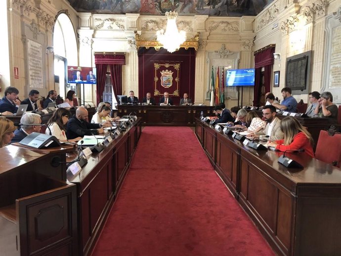 Pleno del Ayuntamiento de Málaga de junio de 2019