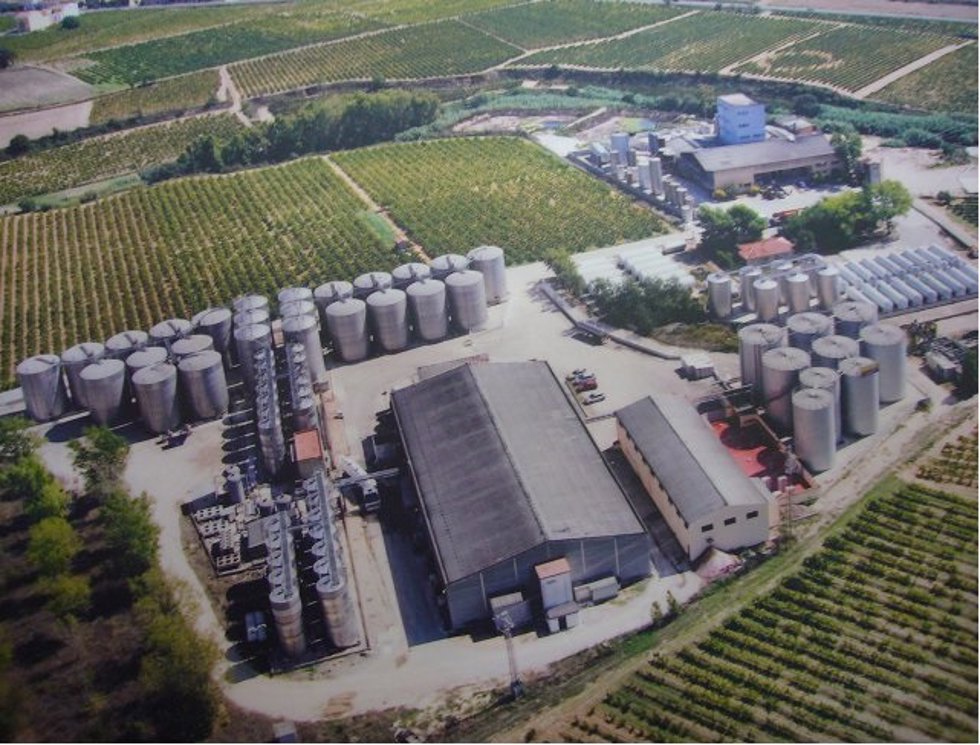 Agro.- José Ferrer (Freixenet) adquiere las bodegas Vins Font