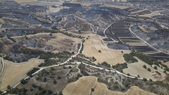 Zona que ha ardido en el incendio de Perdiguera y Leciñena (Zaragoza).