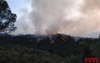 Unes setanta dotacions i deu mitjans aeris treballen en el foc de Capellades (Barcelona)