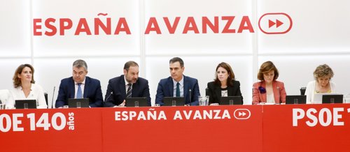 El presidente del Gobierno en funciones, Pedro Sánchez, preside la reunión de la Comisión Ejecutiva Federal del PSOE