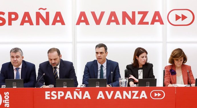 El presidente del Gobierno en funciones, Pedro Sánchez, preside la reunión de la Comisión Ejecutiva Federal del PSOE