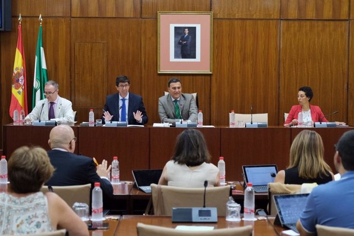 El vicepresidente y consejero de Turismo, Regeneración, Justicia y Administración Local, Juan Marín, durante la comisión