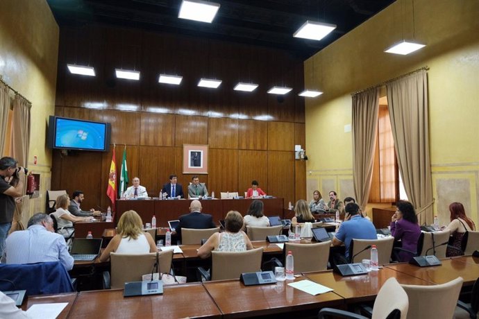 El vicepresidente de la Junta de Andalucía y consejero de Turismo, Regeneración, Justicia y Administración Local, Juan Marín, en comisión parlamentaria