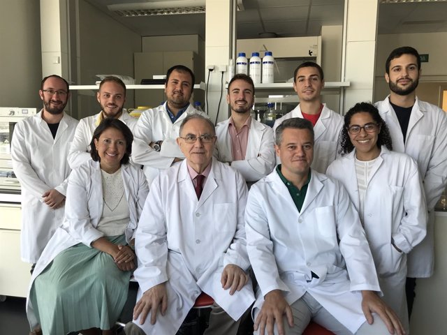 El grupo de Ingeniería Tisular del departamento de Histología de la Universidad de Granada
