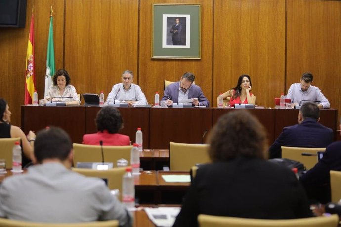 Elías Bendodo, este jueves en comisión del Parlamento andaluz