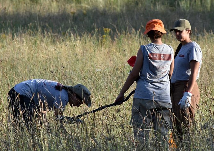 Trabajos de microprospección para localizar la batalla de Metauro