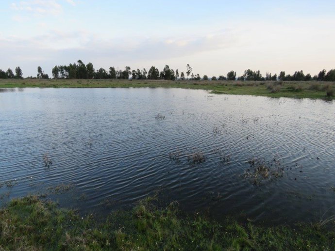 Organizaciones sociales andaluzas critican que la Junta de Andalucía se olvide de las políticas públicas del agua (foto de archivo)