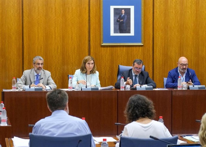 Comparecencia de la consejera de Empleo, Formación y Trabajo Autónomo, Rocío Blanco, en comisión parlamentaria.