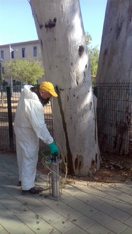 Tratamientos de endoterapia