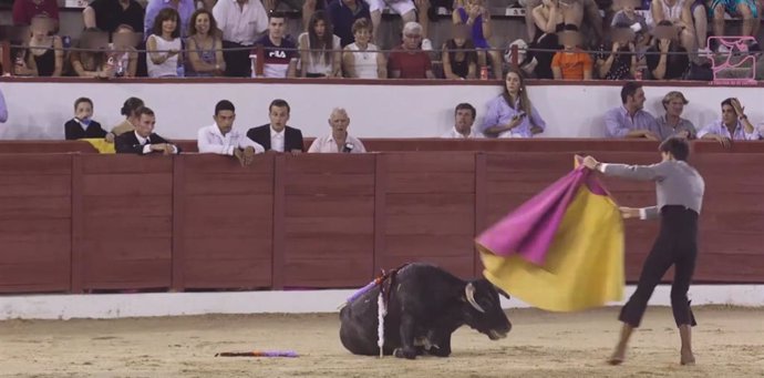 Imagen de una de las clases prácticas taurinas con novillos en Colmenar criticadas por colectivos animalistas.