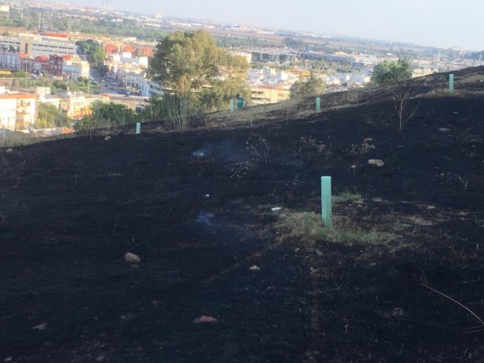 NNuevo incendio en la ladera del Carambolo