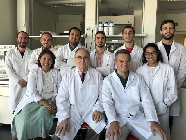 El grupo de Ingeniería Tisular del departamento de Histología de la UGR