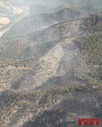 Els Bombers han treballat aquesta nit en l'incendi de Capellades "sense complicacions"